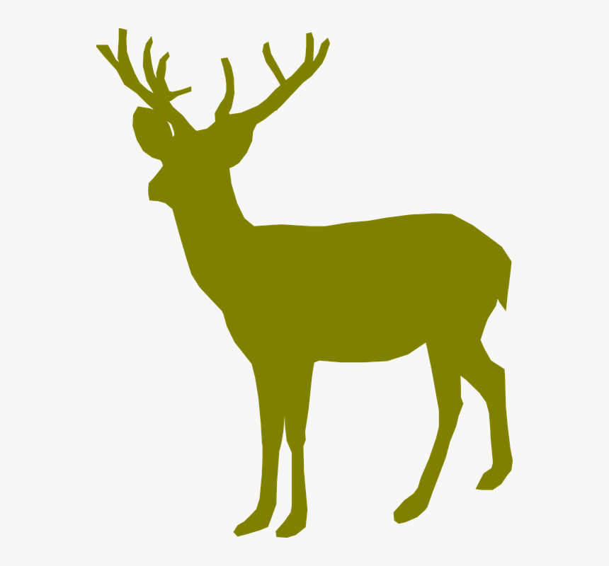 Deer - Deer Clipart Green, HD Png Download, Free Download