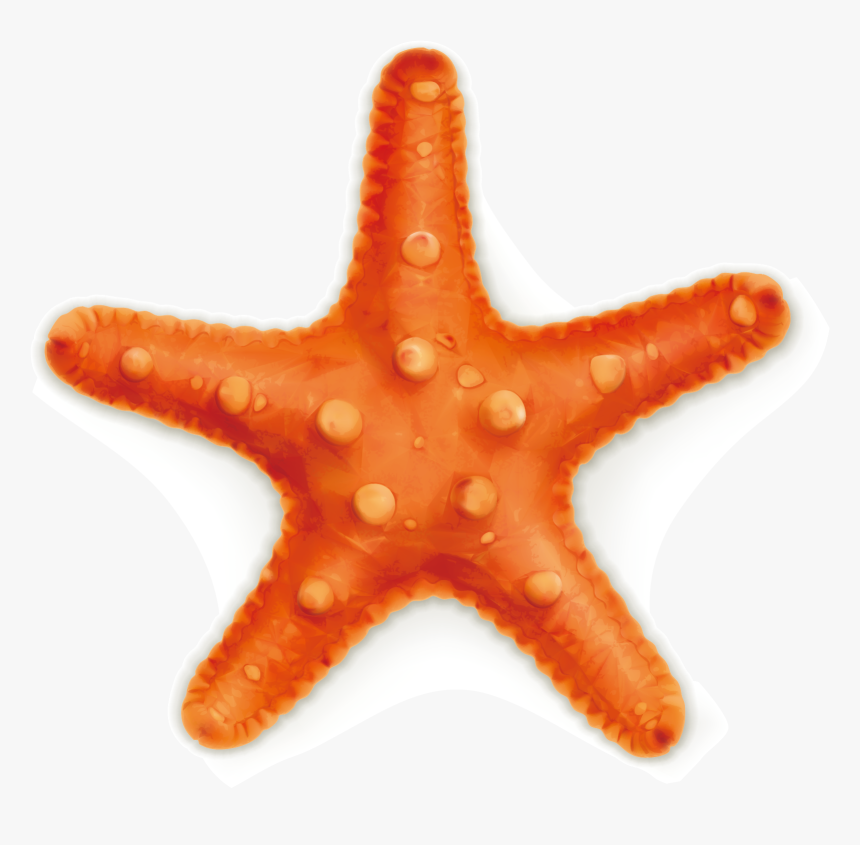 Starfish Royalty-free Stock Photography Illustration - Yellow Starfish, HD Png Download, Free Download