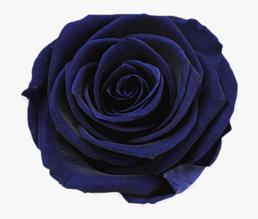 Transparent Dark Rose Png - Dark Blue Flower Png, Png Download - kindpng