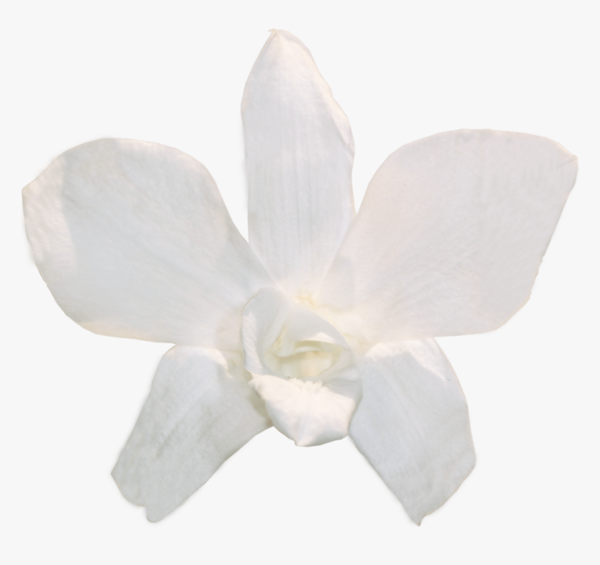 Artificial Flower, HD Png Download, Free Download