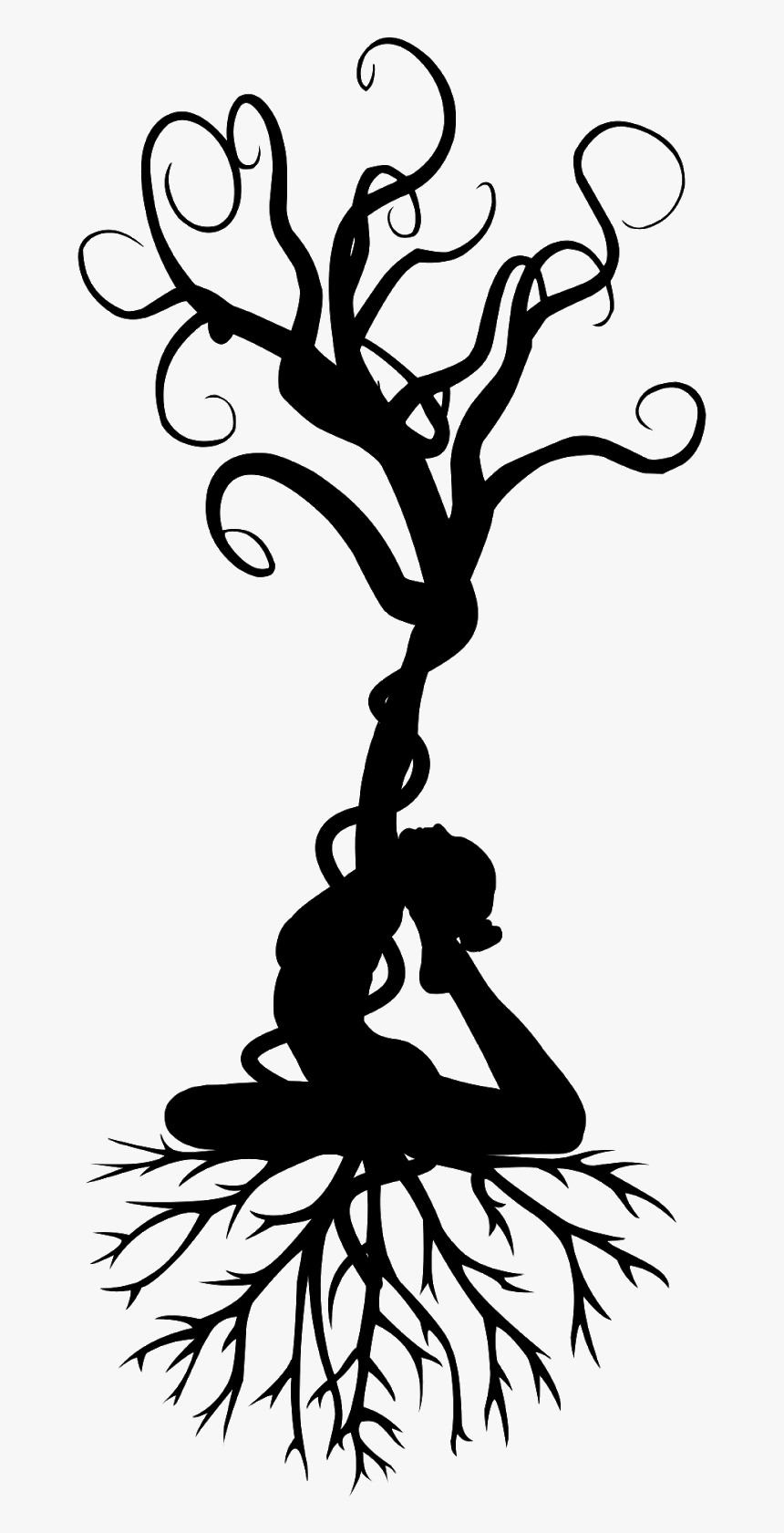  Yoga  Tree Silhouette Women Meditation Harmony 