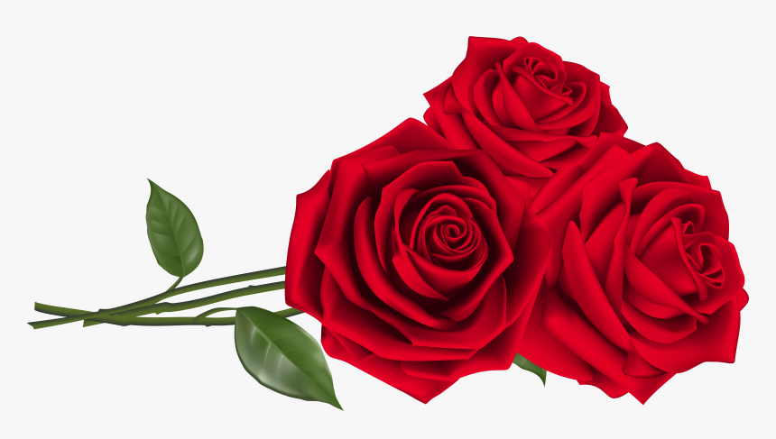 Rose Clipart Red Roses - Gulab Png, Transparent Png, Free Download