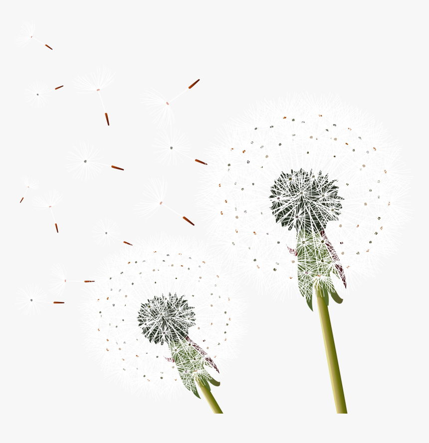 Dandelion Transparent Flying - Dandelion Free Png Download, Png Download, Free Download