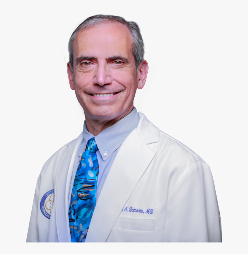 Mark Damario - Physician, HD Png Download, Free Download