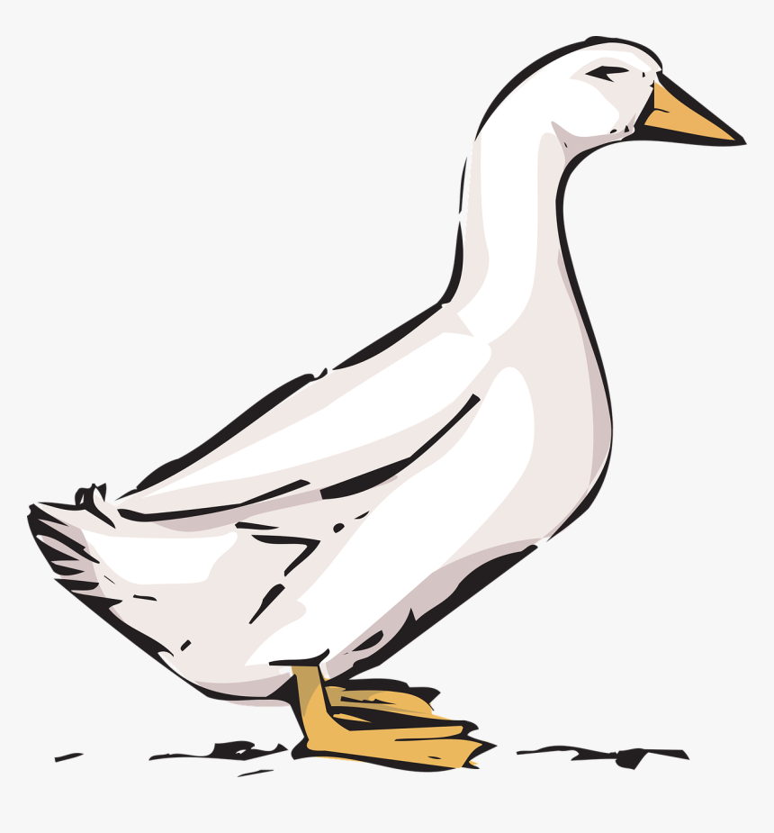 Transparent Duck Png - Clip Art Of Farmer Duck, Png Download, Free Download