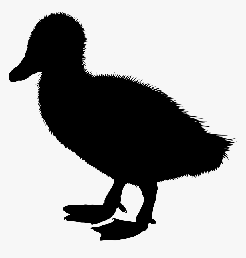 Duck Clip Art Silhouette Illustration Vector Graphics - Portable Network Graphics, HD Png Download, Free Download