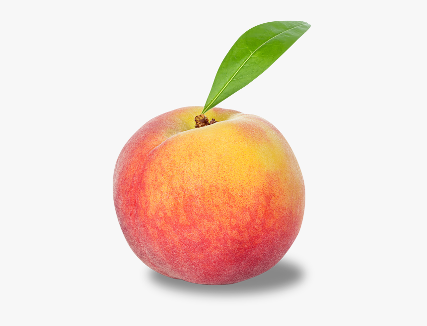 Nectarine, HD Png Download, Free Download
