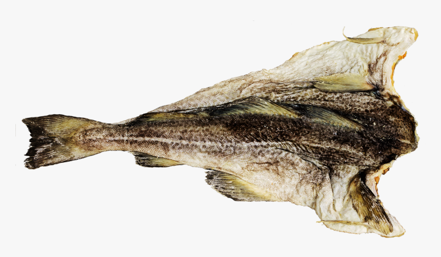 Pescado De Bacalao, HD Png Download, Free Download