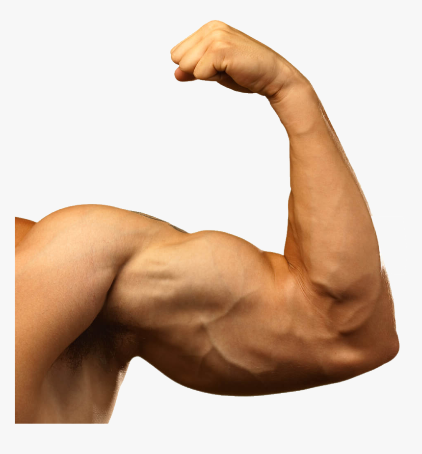 Muscle Arm Png Background Images - Transparent Muscle Arms Png, Png ...