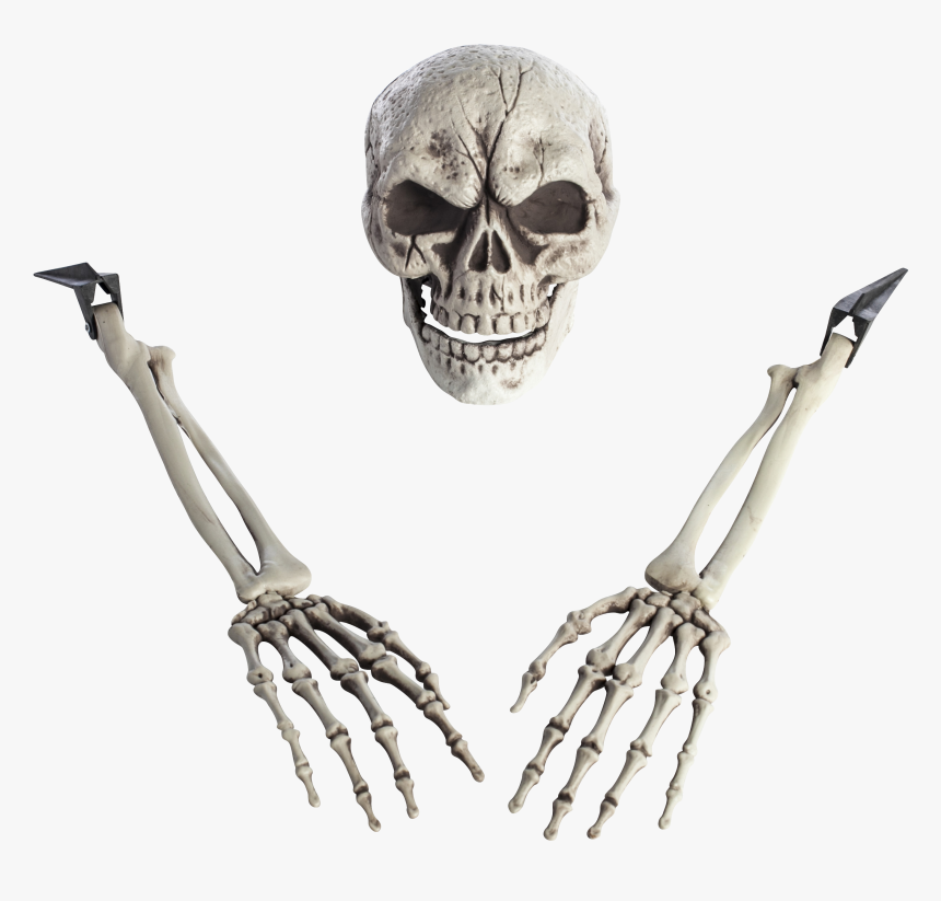 Skeleton Arm Png , Png Download - Full Hd Skeleton Png, Transparent Png, Free Download