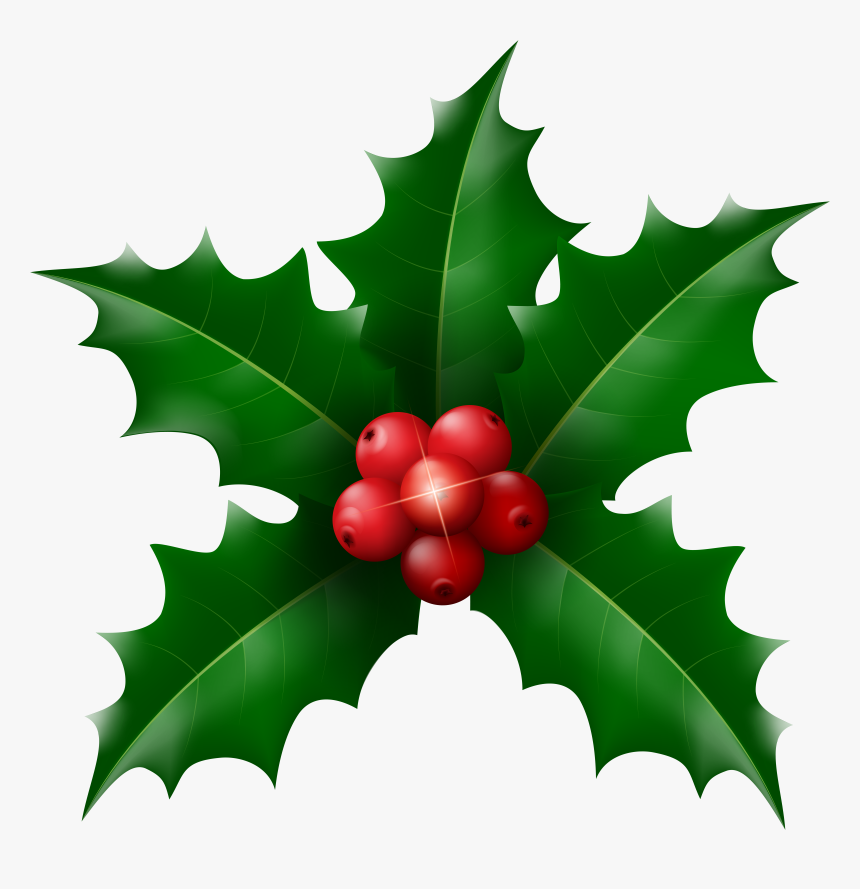 Transparent Holly Green, HD Png Download - kindpng