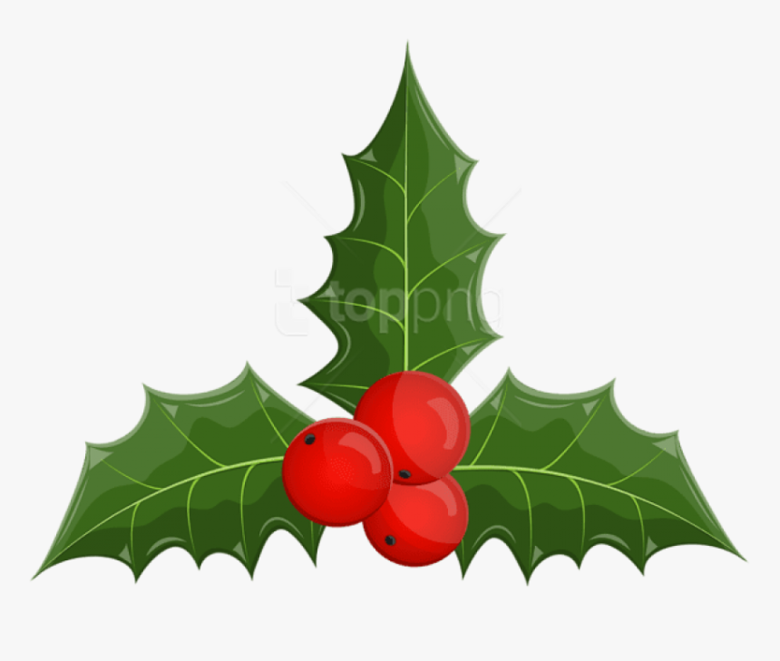 Transparent Mistletoe Png - Illustration, Png Download, Free Download