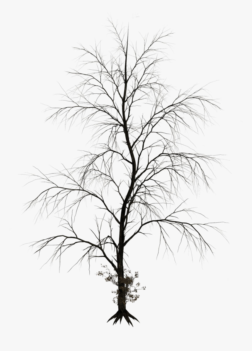 Dead Tree Clipart Noose Silhouette - Haunted Tree Png, Transparent Png, Free Download