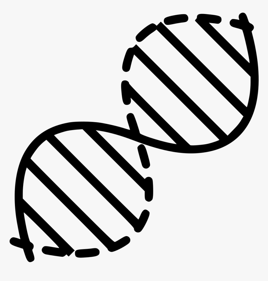 Dna - Transparent Background Dna Clipart, HD Png Download, Free Download