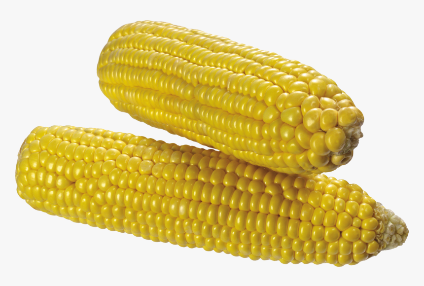 Corn Png Image - Corn Transparent Background, Png Download, Free Download