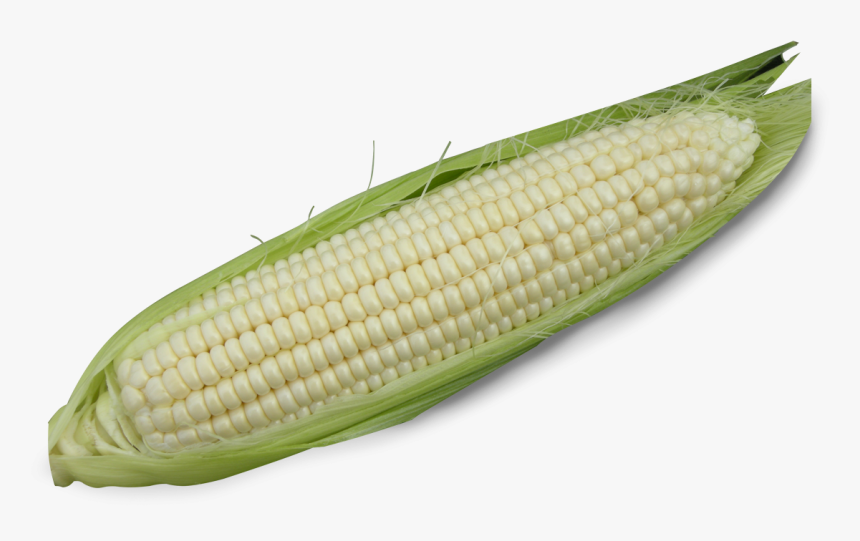 Corn On The Cob, HD Png Download, Free Download