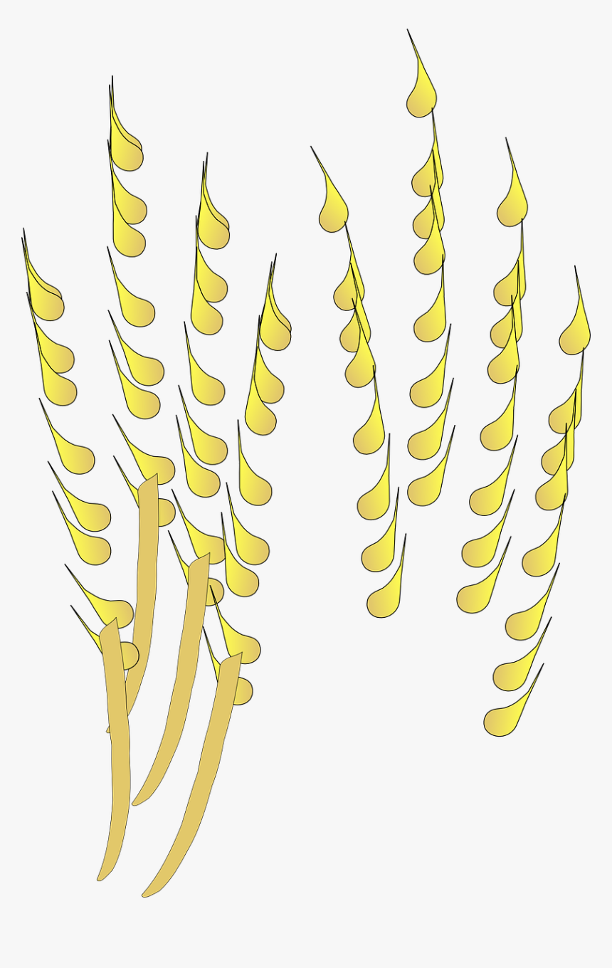 Cultivo De Cereales Png, Transparent Png, Free Download