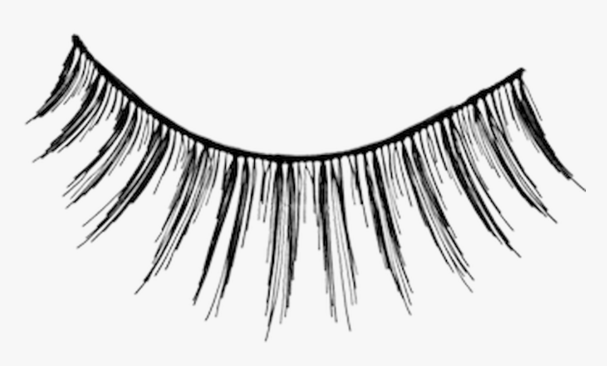 Upper Eyelashes Tv - Eyelash, HD Png Download, Free Download