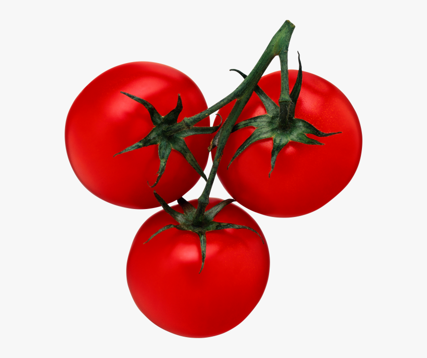 Tomato Png Free Download - Tomato Pdf, Transparent Png, Free Download