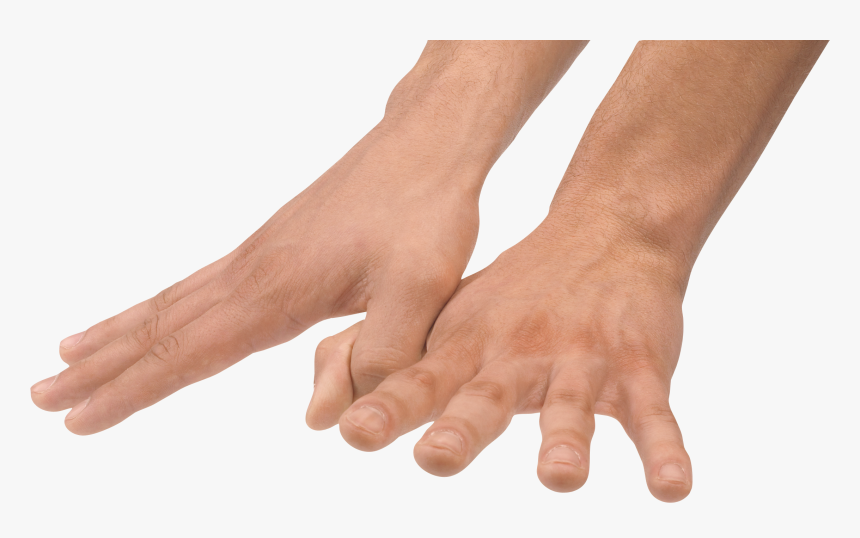 Hands - Human Hands No Background, HD Png Download, Free Download