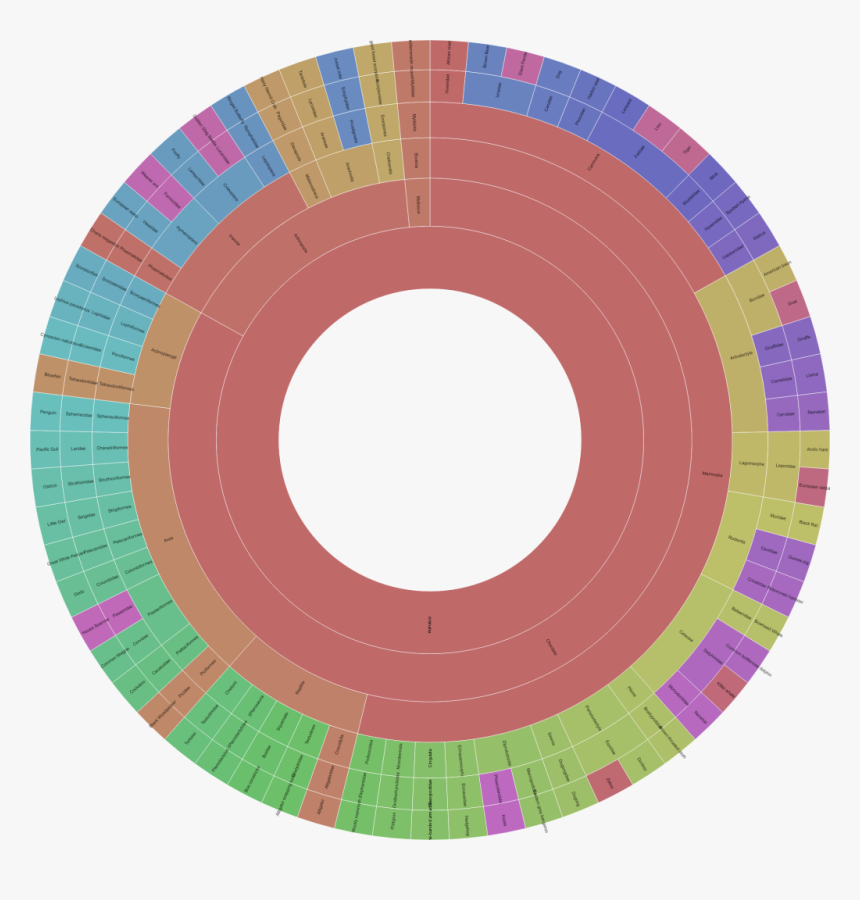 Sunburst Chart Of Animal Kingdom In Different Sizes - Circle, HD Png Download, Free Download