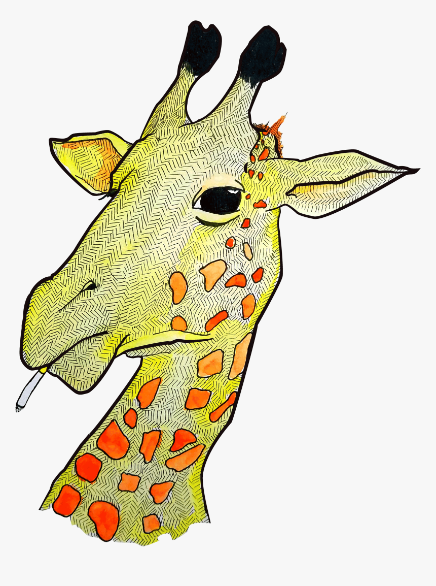 Giraffe Png, Transparent Png, Free Download