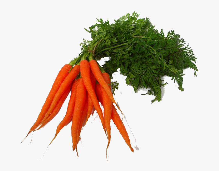 Download Carrot Png Clipart - Vegetables Png Transparent, Png Download, Free Download