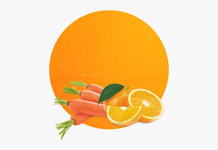 Carrot And Orange Png, Transparent Png, Free Download