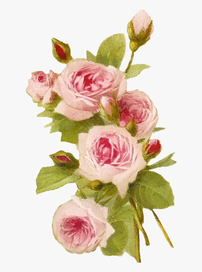 Fondos De Rosas Rosas, HD Png Download - kindpng