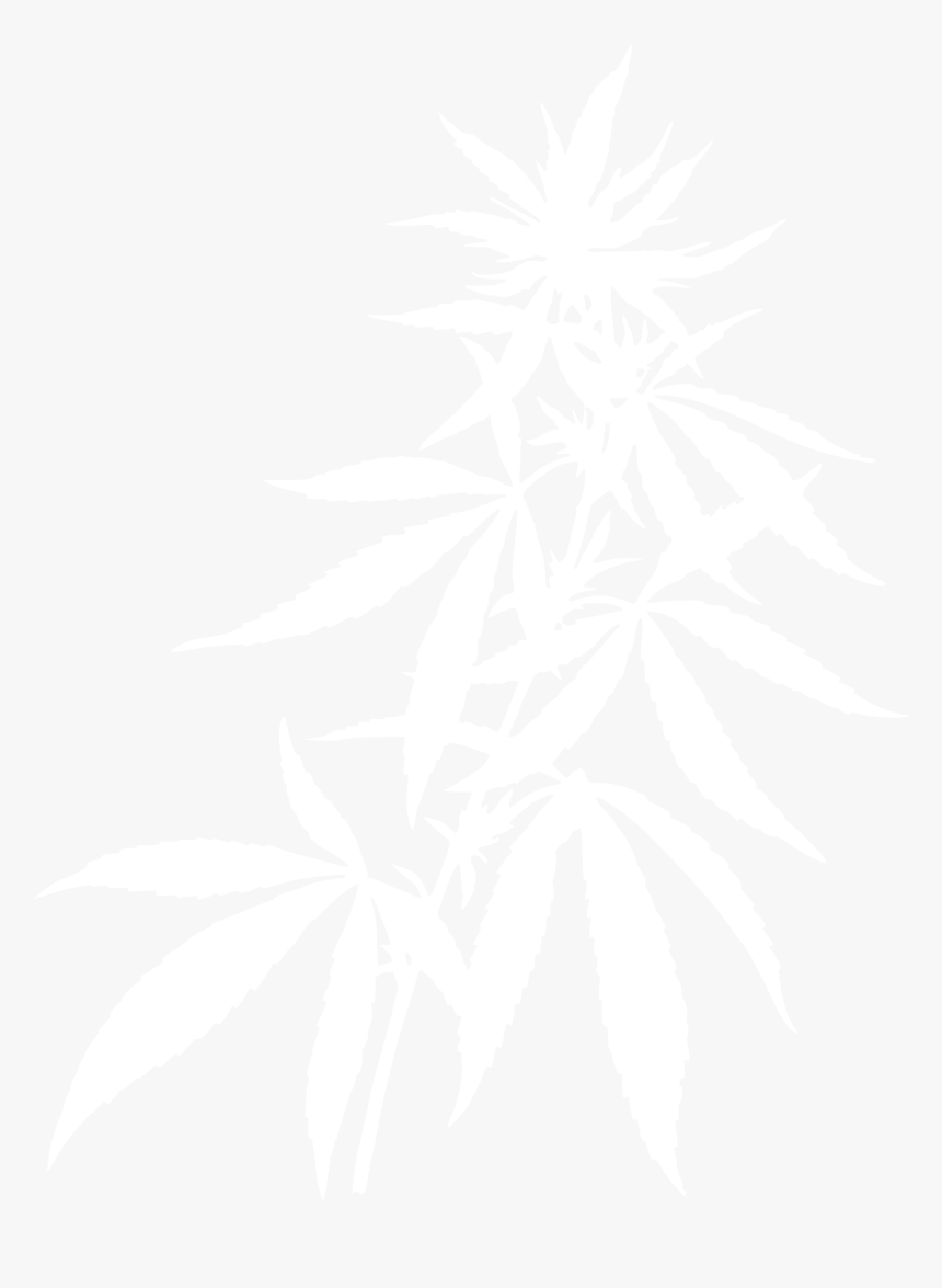 Dispensary Near Georgetown, Co - Cannabis Leaf, HD Png Download, Free Download