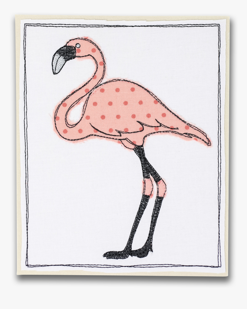 Greater Flamingo, HD Png Download, Free Download