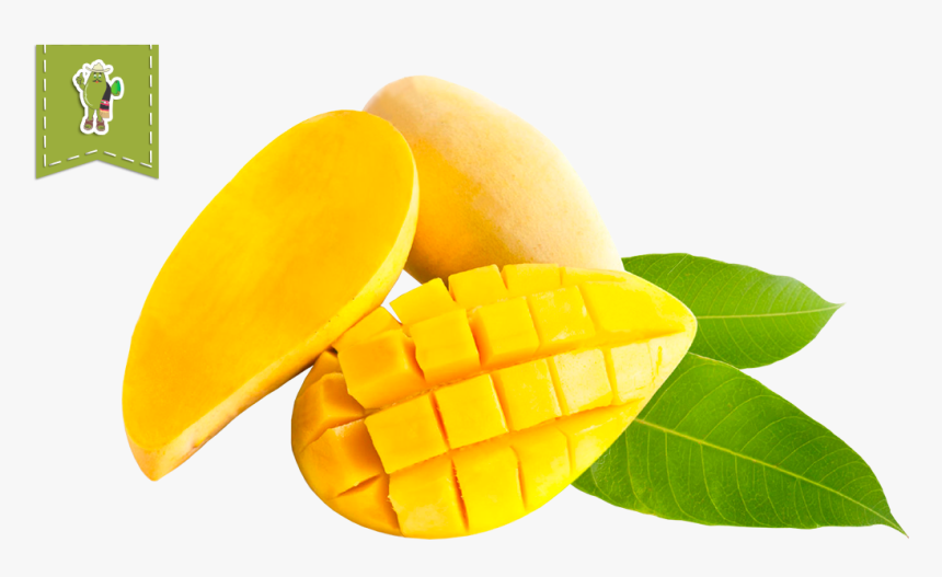 Mango Con Chile Png, Transparent Png, Free Download