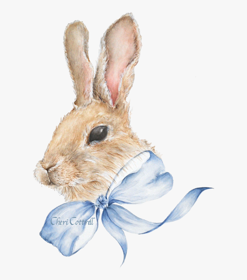 Watercolour Bunny No Background, HD Png Download, Free Download