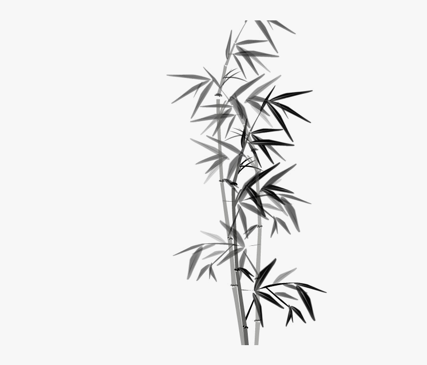 Bamboo Ink Wash Painting Download - Animation Panda, HD Png Download, Free Download