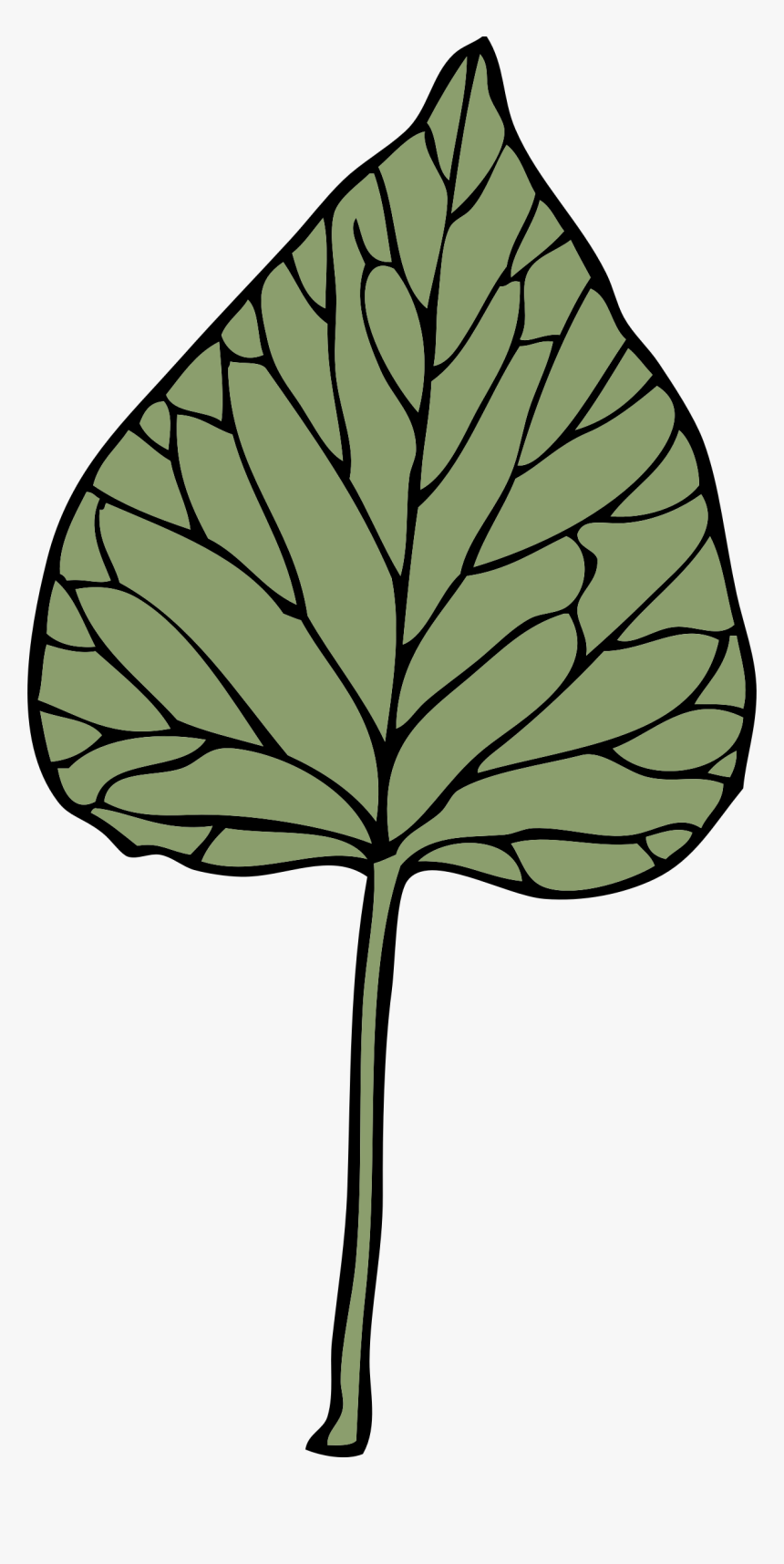 Ivy Leaf 6 Clip Arts - Clip Art, HD Png Download, Free Download