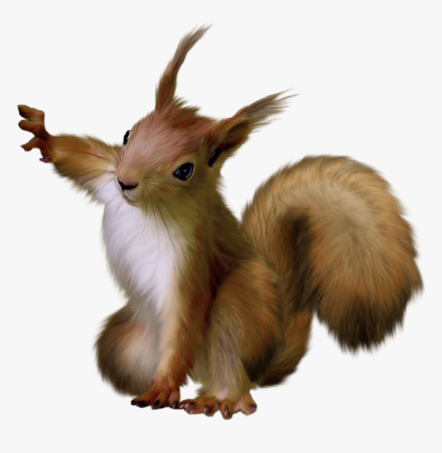 Squirrel Png, Transparent Png, Free Download