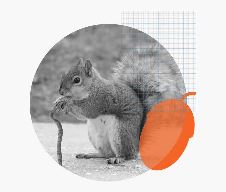 The History Of Squirrel - Squirrel With A Cane, HD Png Download, Free Download