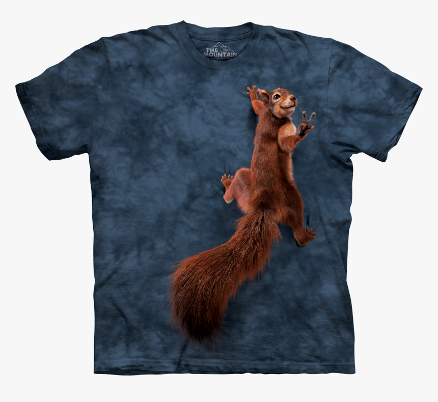 Squirrel Png, Transparent Png, Free Download