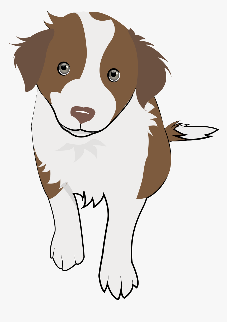 8 Chocolate Collie Puppy - Dog Catches Something, HD Png Download, Free Download