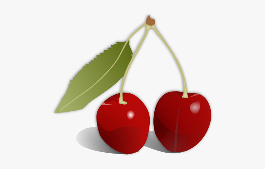 Cherry Png Free Download - Cherry Fruit, Transparent Png, Free Download