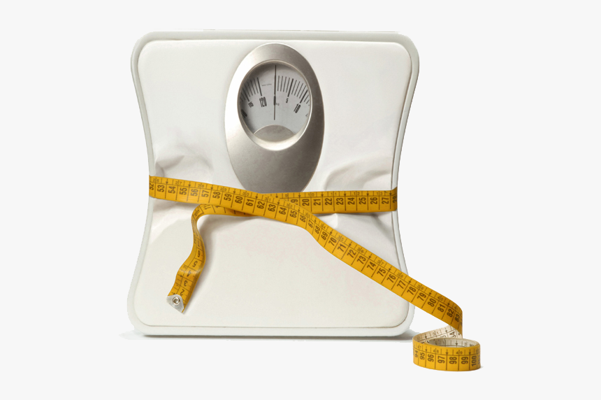 Weigh In Biggest Loser, HD Png Download, Free Download