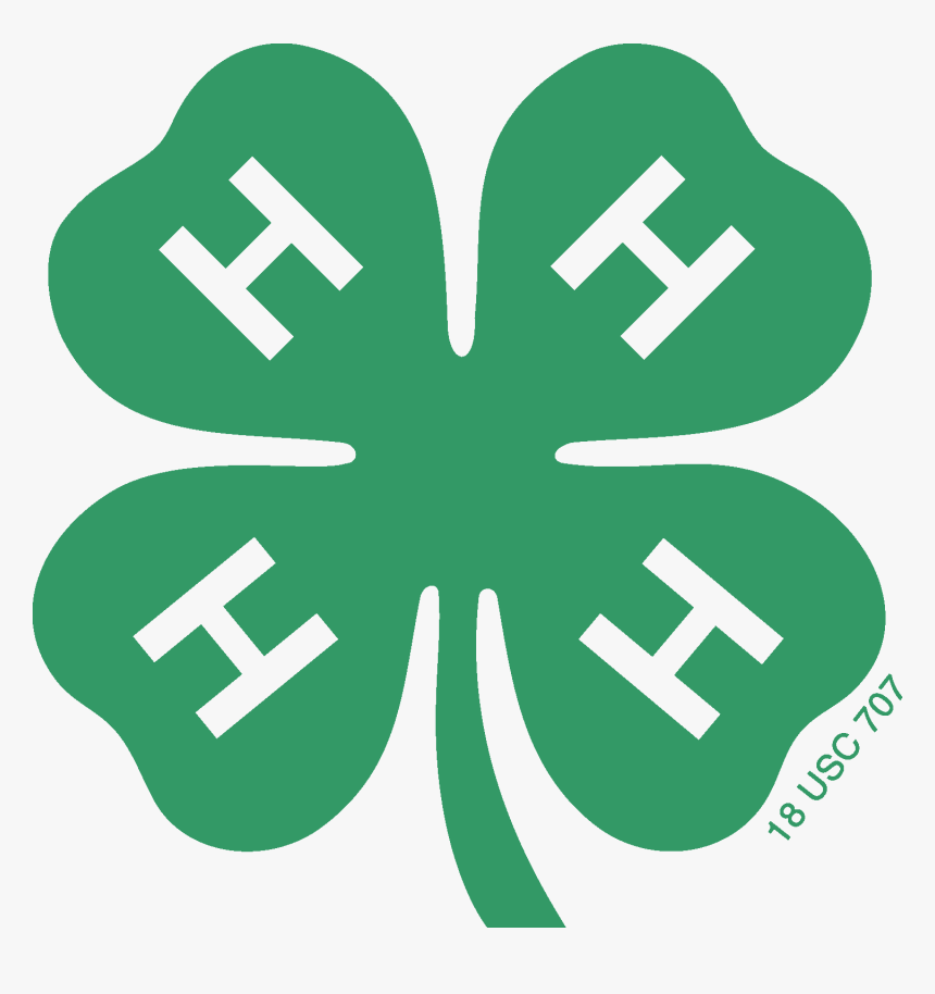 4 H Clover Png - 4 H Clover, Transparent Png, Free Download