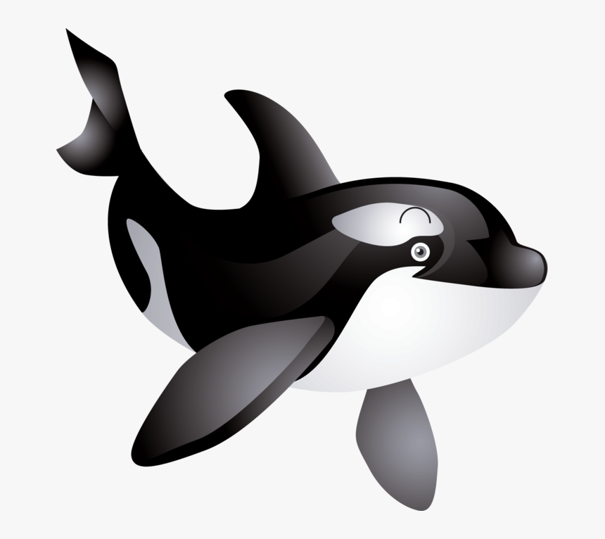 Free Download Of Whale Icon Clipart - Free Killer Whale Clip Art, HD Png Download, Free Download