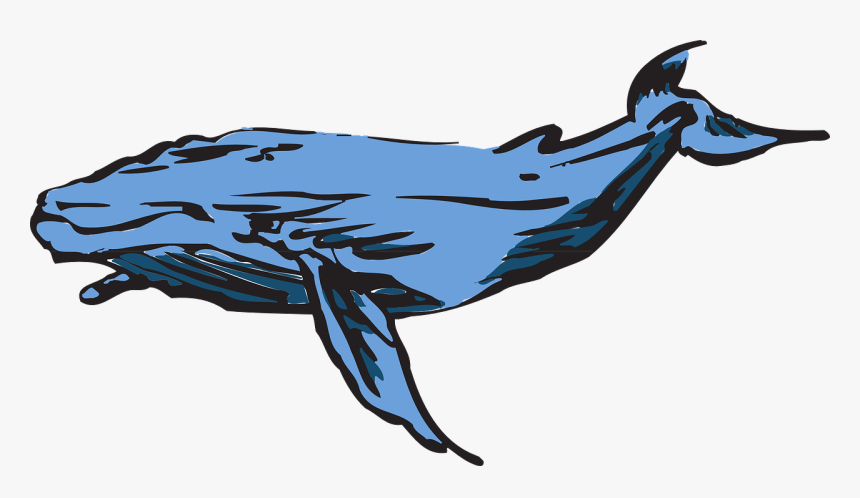 Blue Whale Game Png, Transparent Png, Free Download