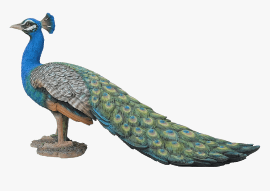 Peacock Garden Ornament - Resin Peacock Garden Ornament, HD Png Download, Free Download