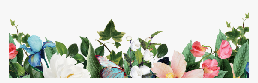 Kari Jobe The Garden , Png Download - Balloon Flower, Transparent Png, Free Download