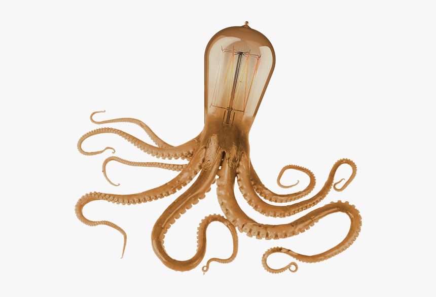 Octopus, HD Png Download, Free Download