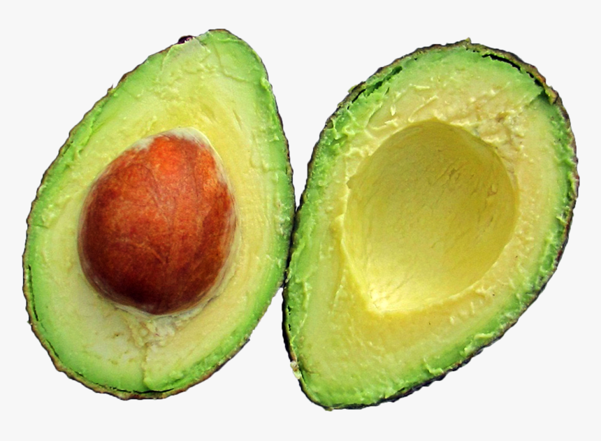 Avocado Png, Transparent Png, Free Download