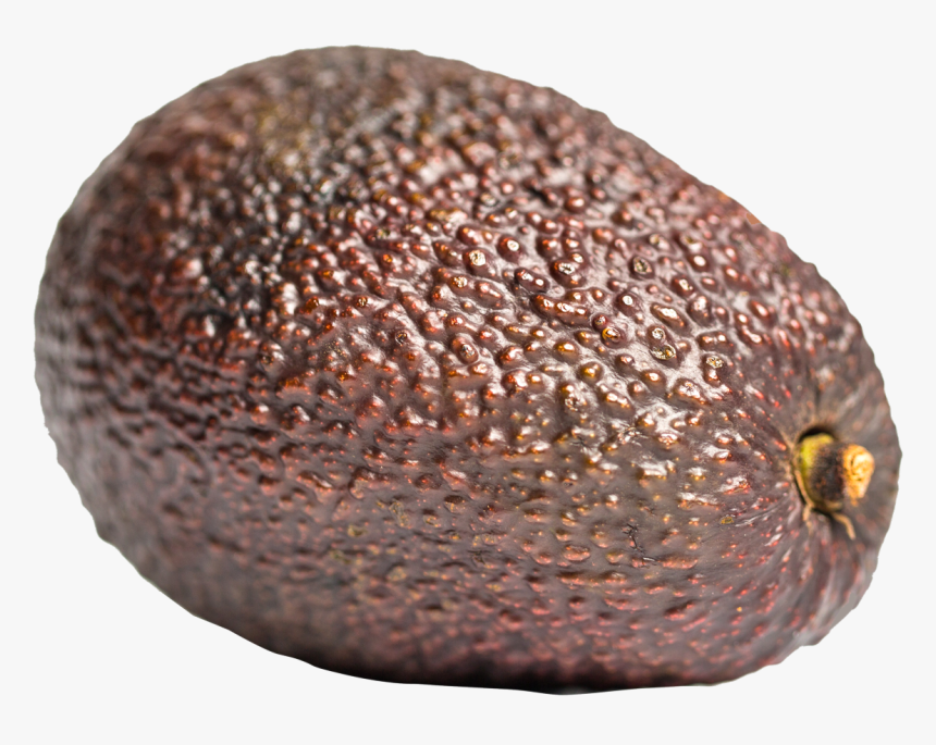 Whole Avocado Png Transparent, Png Download, Free Download