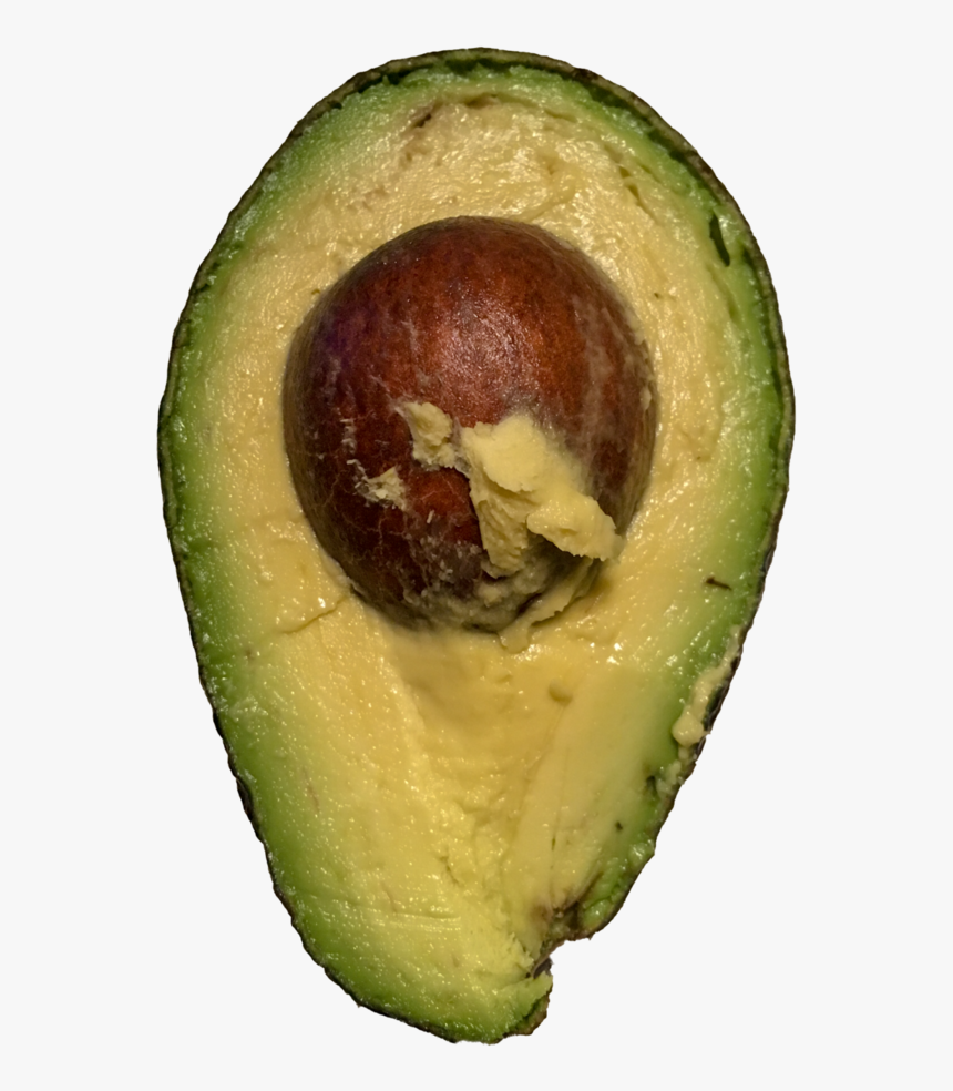 Avocado Transparent Image - Avocado, HD Png Download, Free Download